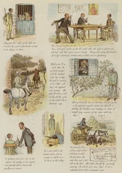 Dziwne przygody psiego wózka